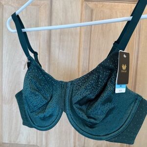 Wacoal Green Full-Coverage Bra with Molded Cups